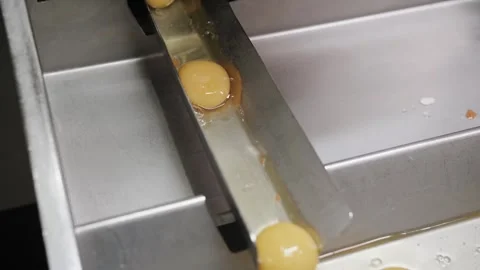 Egg yolks moving in thecooking machine Stock Footage 322509180