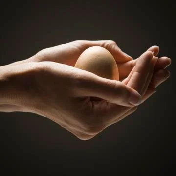 Egg in young woman's hands Stock Photos