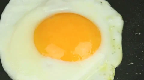 Egg Zoom Stock Footage 32518043