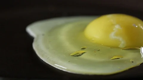 Egg03 Stock Footage 101442716