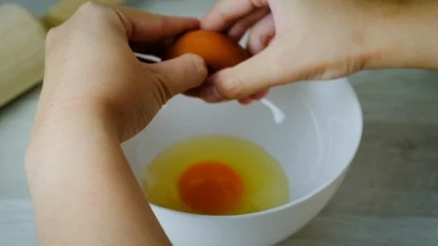 Egg1 動画素材 108314537