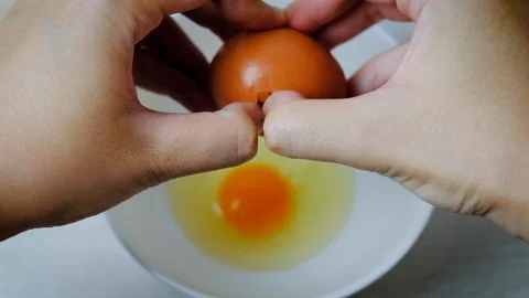 Egg4 動画素材 108314350