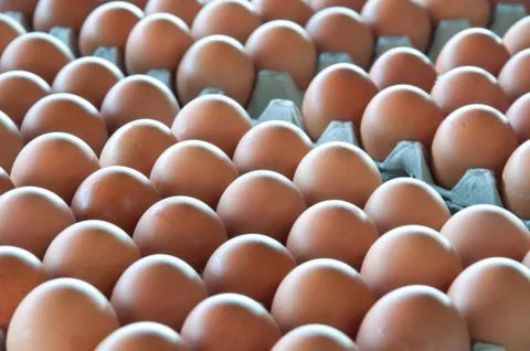 Egges Stock Photos