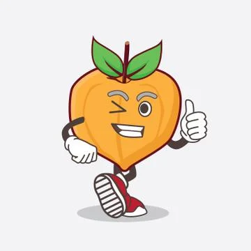 Eggfruit cartoon mascot character making Thumbs up gesture Stock Illustration