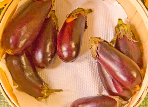 Eggplant basket Stock-Fotos