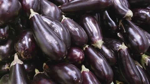 Eggplant close-up on a shelf in a store Stock Footage 146459473