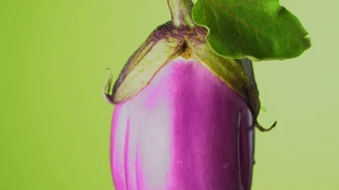 Eggplant on the green background Video stock 113861333