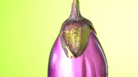 Eggplant on the green background 库存影片 113861369
