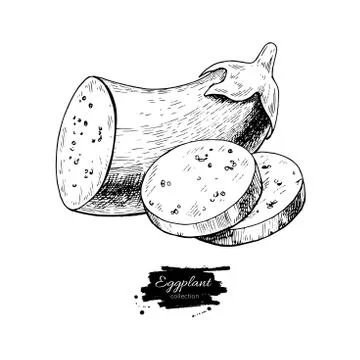 Eggplant hand drawn vector illustration. Isolated Vegetable engraved style .. Stock Illustration