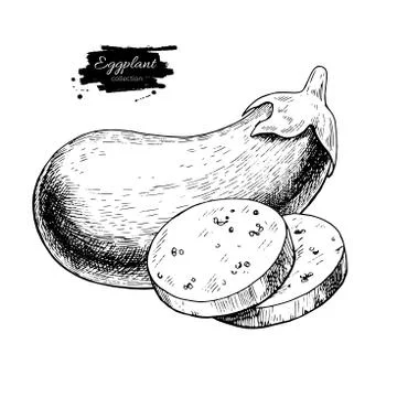 Eggplant hand drawn vector illustration. Isolated Vegetable engraved style .. Stock Illustration