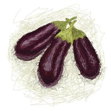 Eggplant Stock Illustration