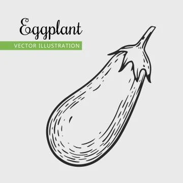 Eggplant Stock Illustration