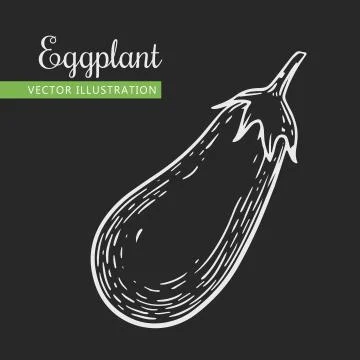Eggplant Stock Illustration