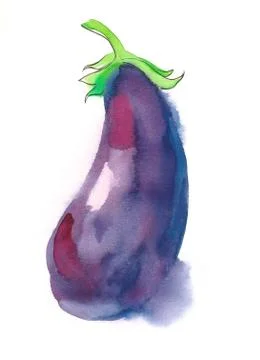 Eggplant Stock Illustration