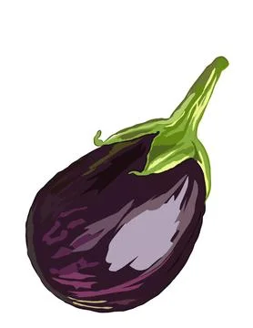 Eggplant Stock Illustration
