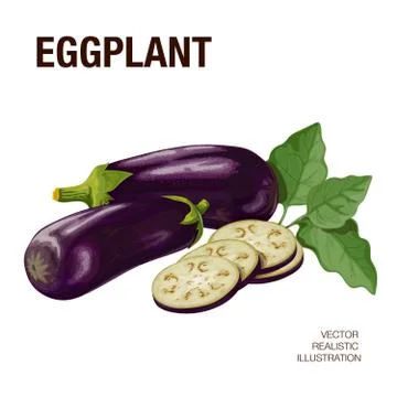 Eggplant. Isolated objects Stock Illustration