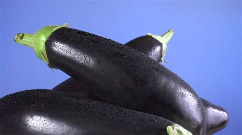 Eggplant isolated rotating on blue background Stock Footage 62368725