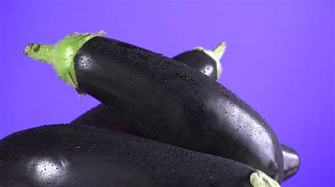 Eggplant isolated rotating on purple background Stock Footage 62369231