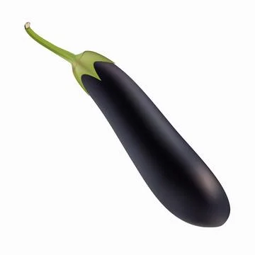 Eggplant isolated on a white background. Stock Illustration