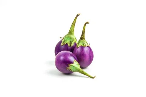 Eggplant  isolated on white background Stock Photos