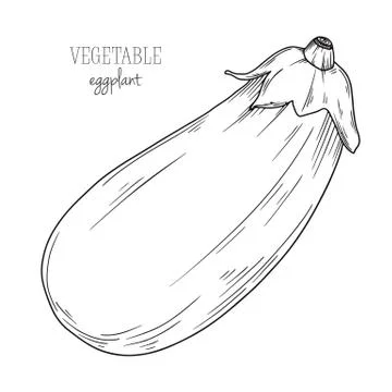 Eggplant isolated on white background. Vector illustration Illustrazione stock