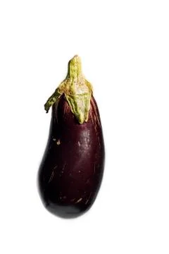 Eggplant isolated on white Stock Photos