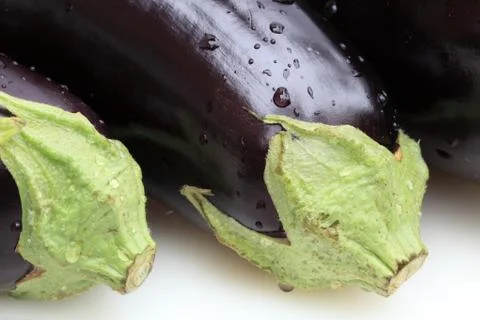 Eggplant Macro Photos
