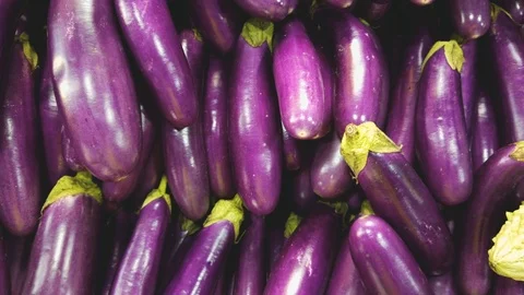 Eggplant  in market Stock Footage 102930413