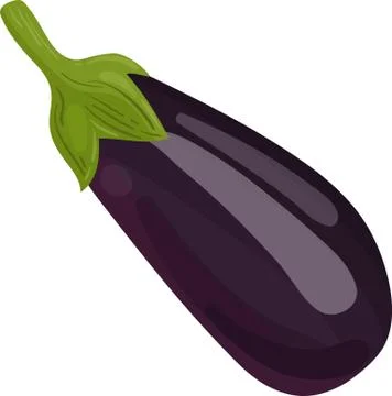 Eggplant. Modern Simple Vector For Web Site Or Mobile App. Vector image. Stock Illustration