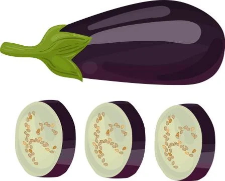 Eggplant. Modern Simple Vector For Web Site Or Mobile App. Vector image. Stock Illustration