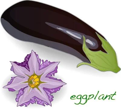 Eggplant or aubergine vegetable vector Stock Illustration