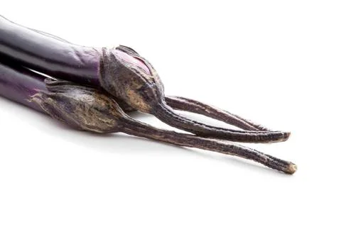 Eggplant Stock Photos