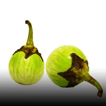 Eggplant Stock Photos