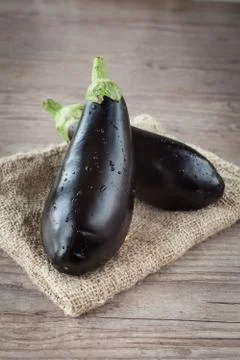 Eggplant Stock Photos