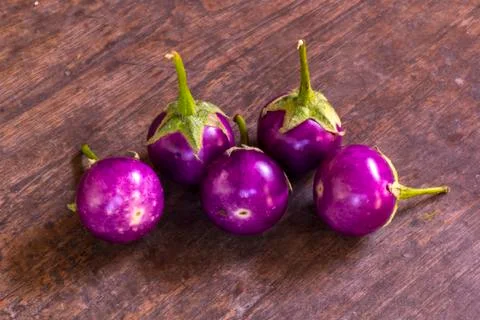 Eggplant Stock Photos