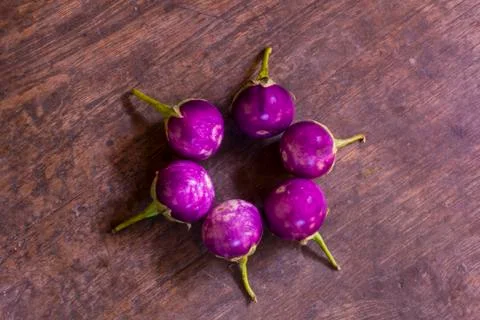 Eggplant Stock Photos