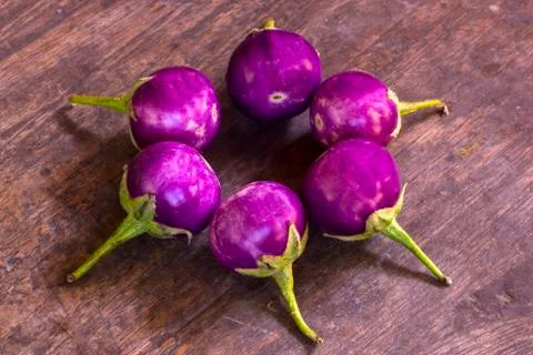 Eggplant Stock Photos