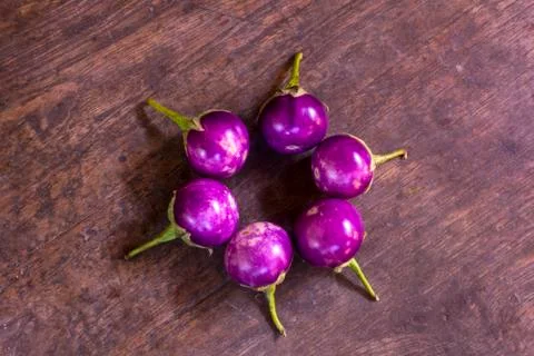 Eggplant Stock Photos
