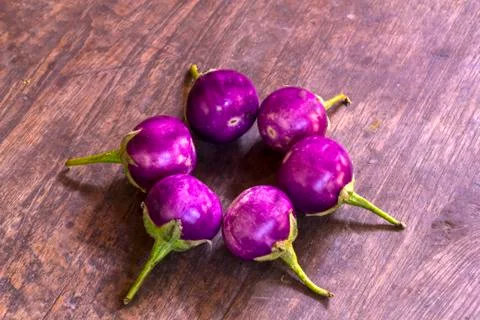 Eggplant Stock Photos