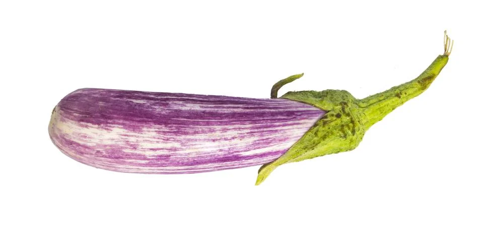 Eggplant Stock Photos