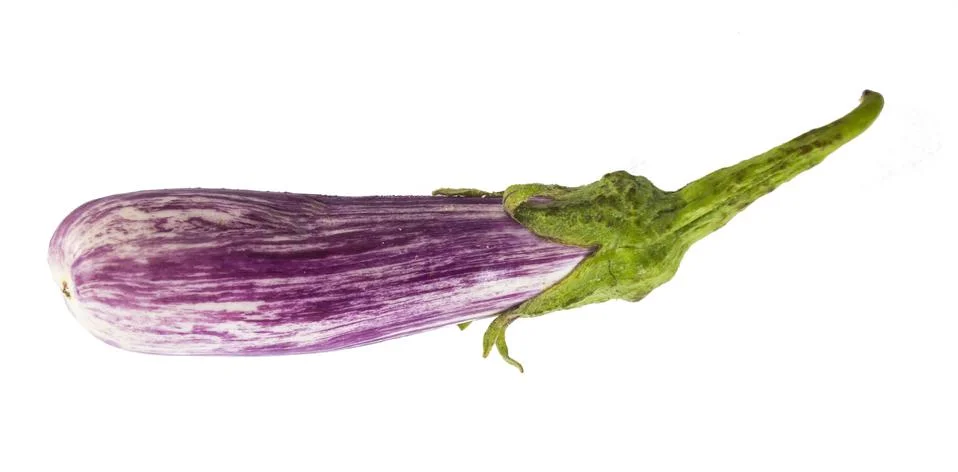 Eggplant Stock Photos
