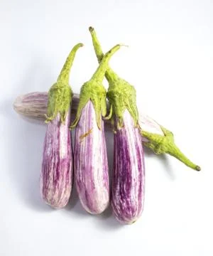 Eggplant Stock Photos