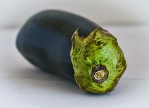 Eggplant 스톡 사진