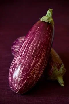 Eggplant Stock Photos