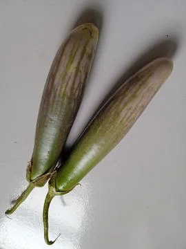 Eggplant Stock Photos