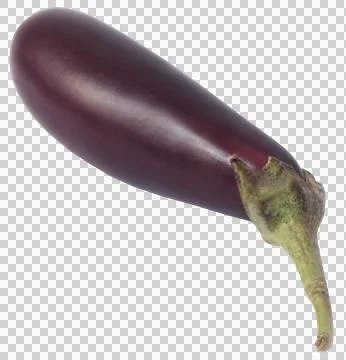 Eggplant Stock Photos