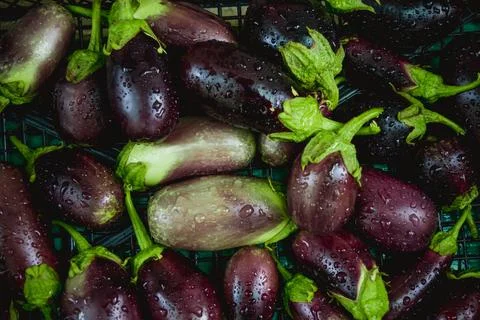 Eggplant Foto stock