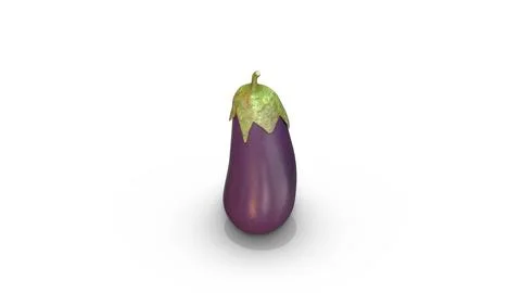 Eggplant Rotation on a White Background Stock Illustration