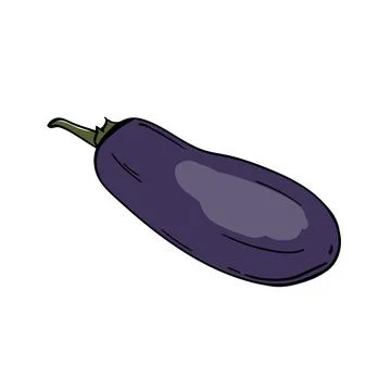 Eggplant. Vector illustration on white background Stock Illustration