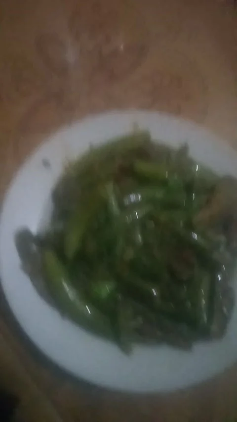 Eggplant vegetable Stock Footage 219424310